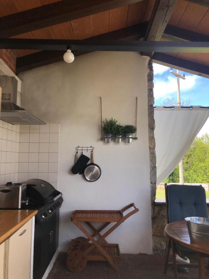Castle House Rooms, Swimming Pool & Sauna & Tennis Court & Wine Cellar Сежана Екстериор снимка