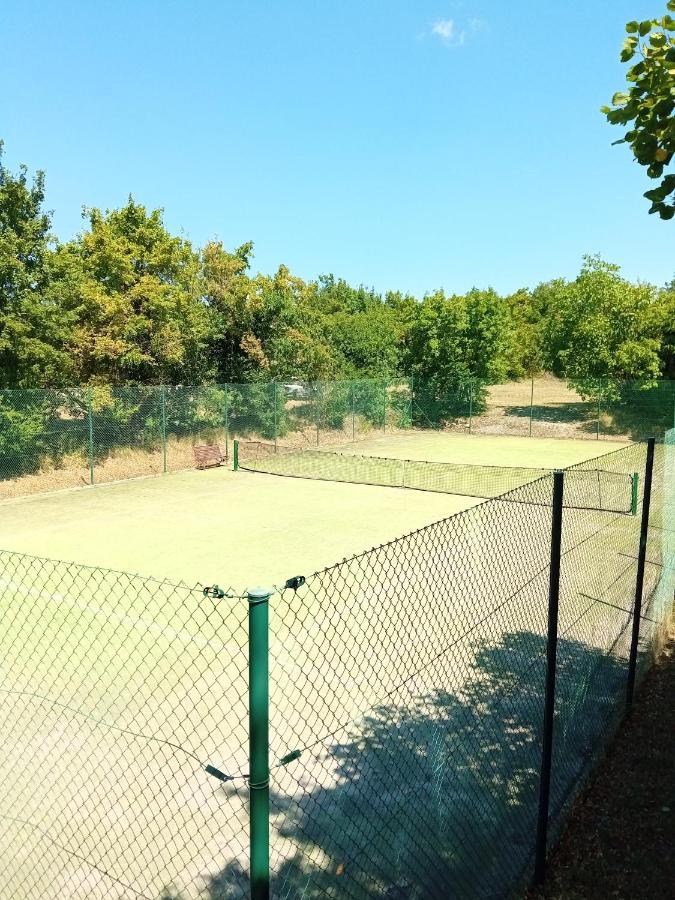 Castle House Rooms, Swimming Pool & Sauna & Tennis Court & Wine Cellar Сежана Екстериор снимка